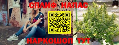 шишки Ирбит