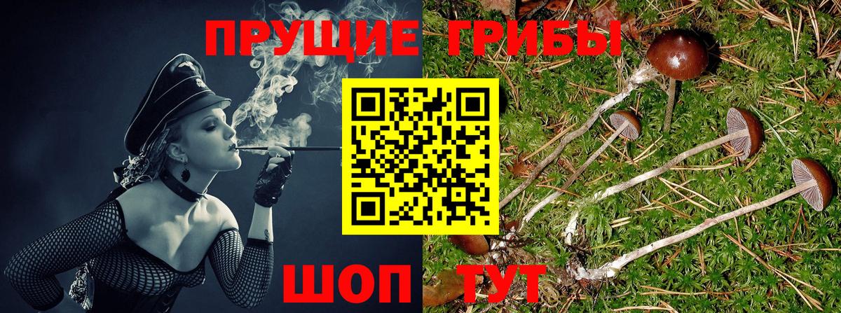 цены   Галлюциногенные грибы MAGIC MUSHROOMS  Вход с VPN  Кумертау  Псилоцибиновые грибы Cubensis 